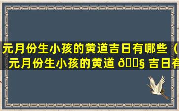 元月份生小孩的黄道吉日有哪些（元月份生小孩的黄道 🐧 吉日有哪些属相）